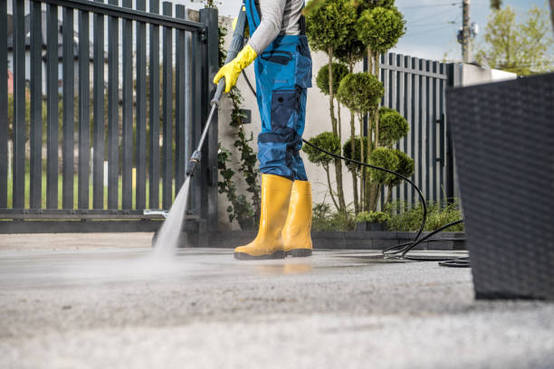 Best Dumpster Area Cleaning  in Garden City South, NY